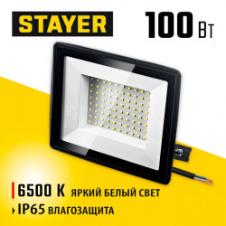 57131-100_z03 Светодиодный прожектор LED-MAX STAYER 100Вт