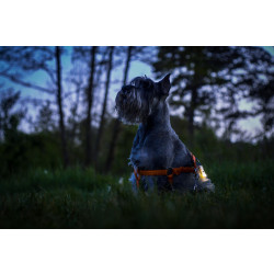 Фонарь Armytek Zippy Extended Set Grey F06101G