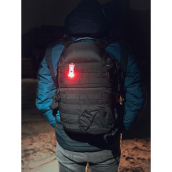 Фонарь Armytek Zippy WR Extended Set Red F09101R