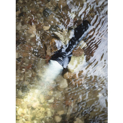 Фонарь Armytek Viking Pro Magnet USB F07701C