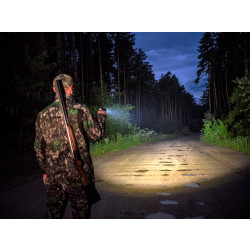 Фонарь Armytek Viking Pro Magnet USB F07701C