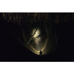 Фонарь Armytek Bear WRG F09901C