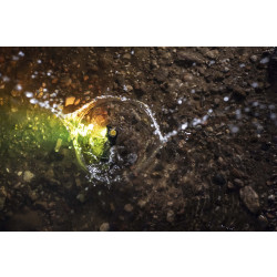 Фонарь Armytek Wizard C1 WRG F10601C