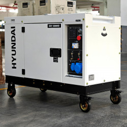 Генератор дизельный DHY 10000SE