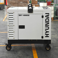 Генератор дизельный DHY 14000SE