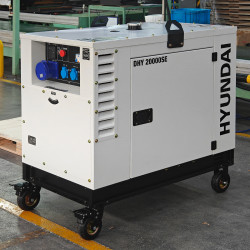 Генератор дизельный DHY 20000SE