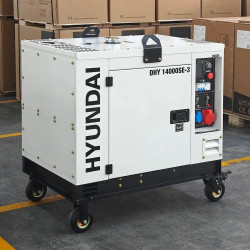 Генератор дизельный DHY 14000SE-3