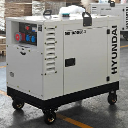 Генератор дизельный DHY 16000SE-3