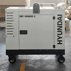 Генератор дизельный DHY 16000SE-3