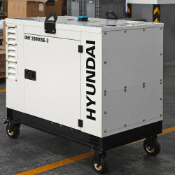 Генератор дизельный DHY 20000SE-3