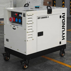 Генератор дизельный DHY 20000SE-3