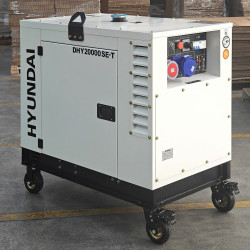 Генератор дизельный DHY 20000SE-T